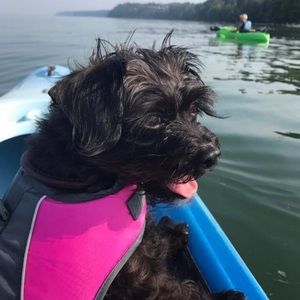 Meet your Posher, Hanna